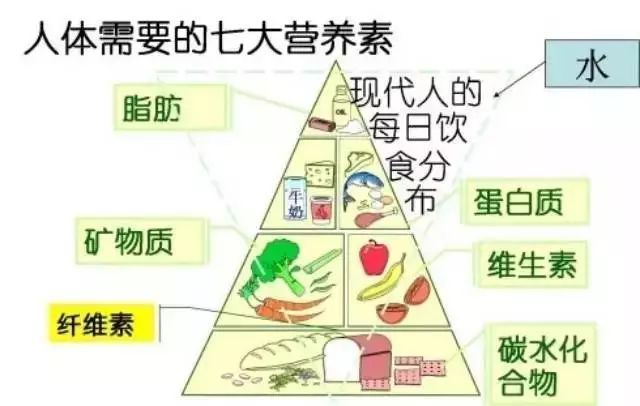 花費(fèi)3萬塊找營養(yǎng)師咨詢減肥，梳理出的精華內(nèi)容都在這里！減肥必看！